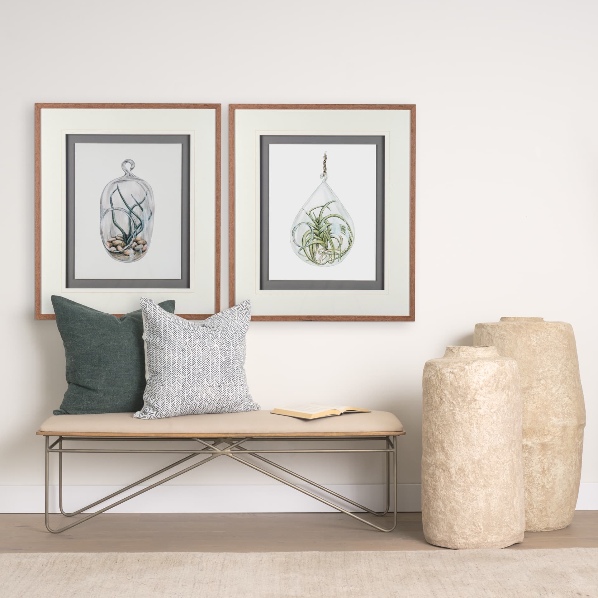Air Plant 1 by Harvey, Brenna a Framed Art Print Matted under Glass — in a styled room