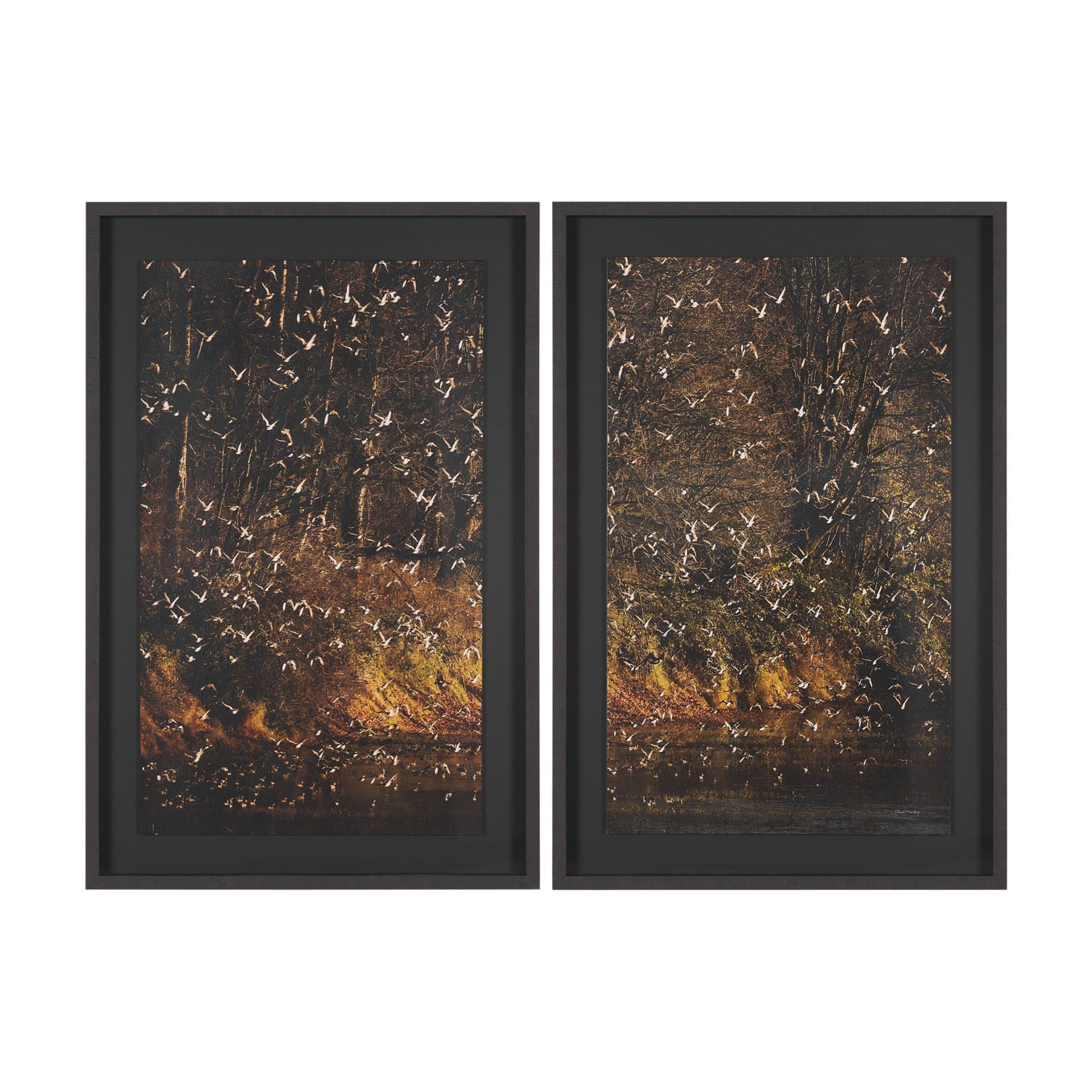 Gilded Flight by Chad Mackay Textured Framed Photo Print Matted under Glass (Set of 2) — product photograph