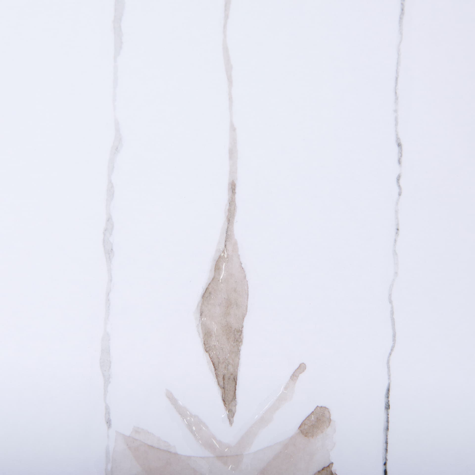 Feather Collection by Mercana Studio a Hand Embellished Textured Framed Art Print Matted under Glass — product photograph