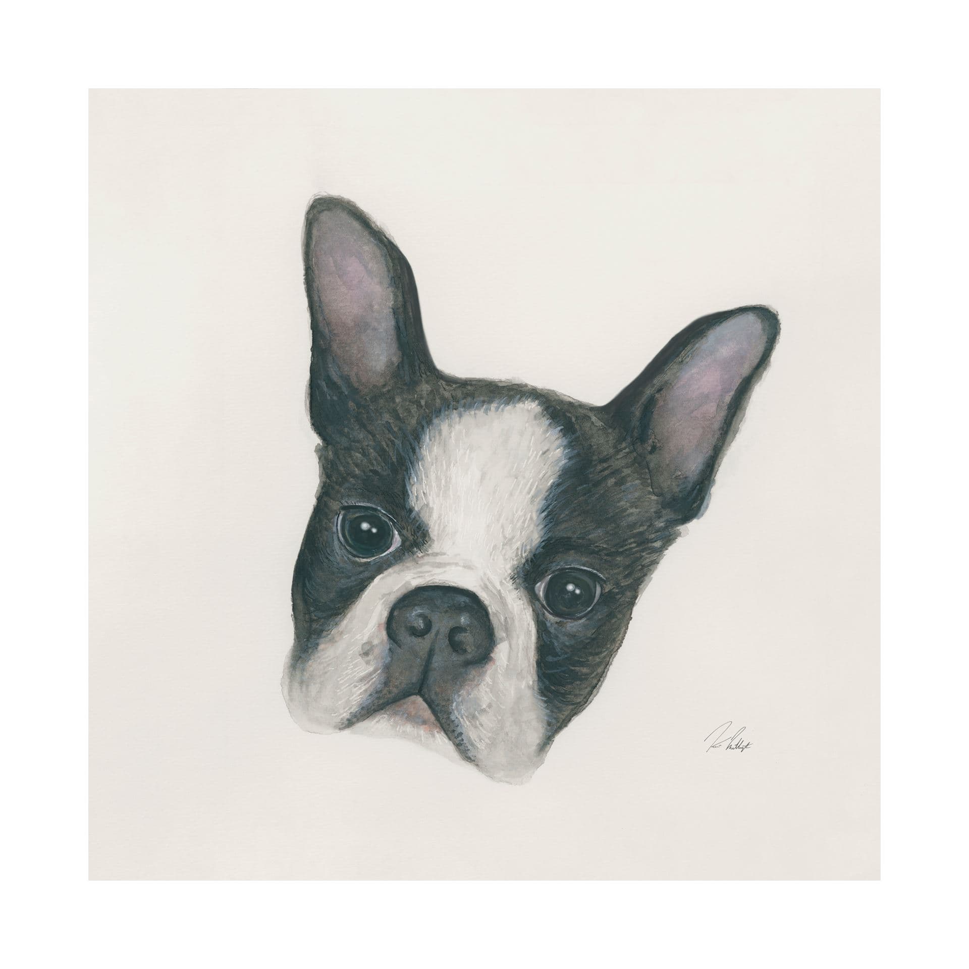Floyd (Boston Terrier 1) by Mercana Studio a Hand Embellished Textured Canvas — product photograph