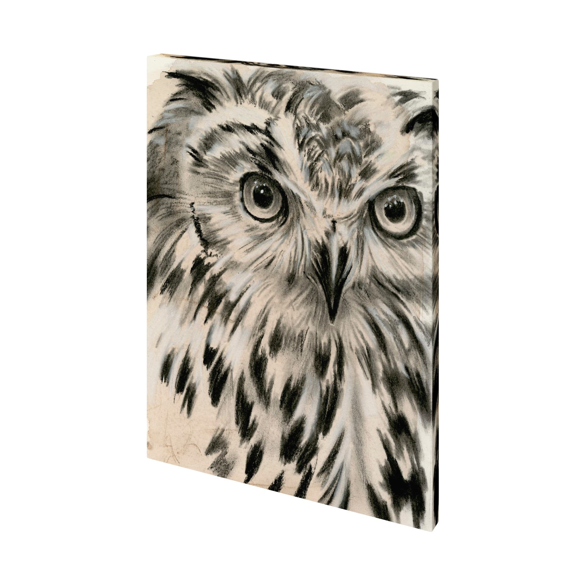 Charcoal Owl I by Jennifer Paxton Parker a Hand Embellished Textured Canvas — product photograph