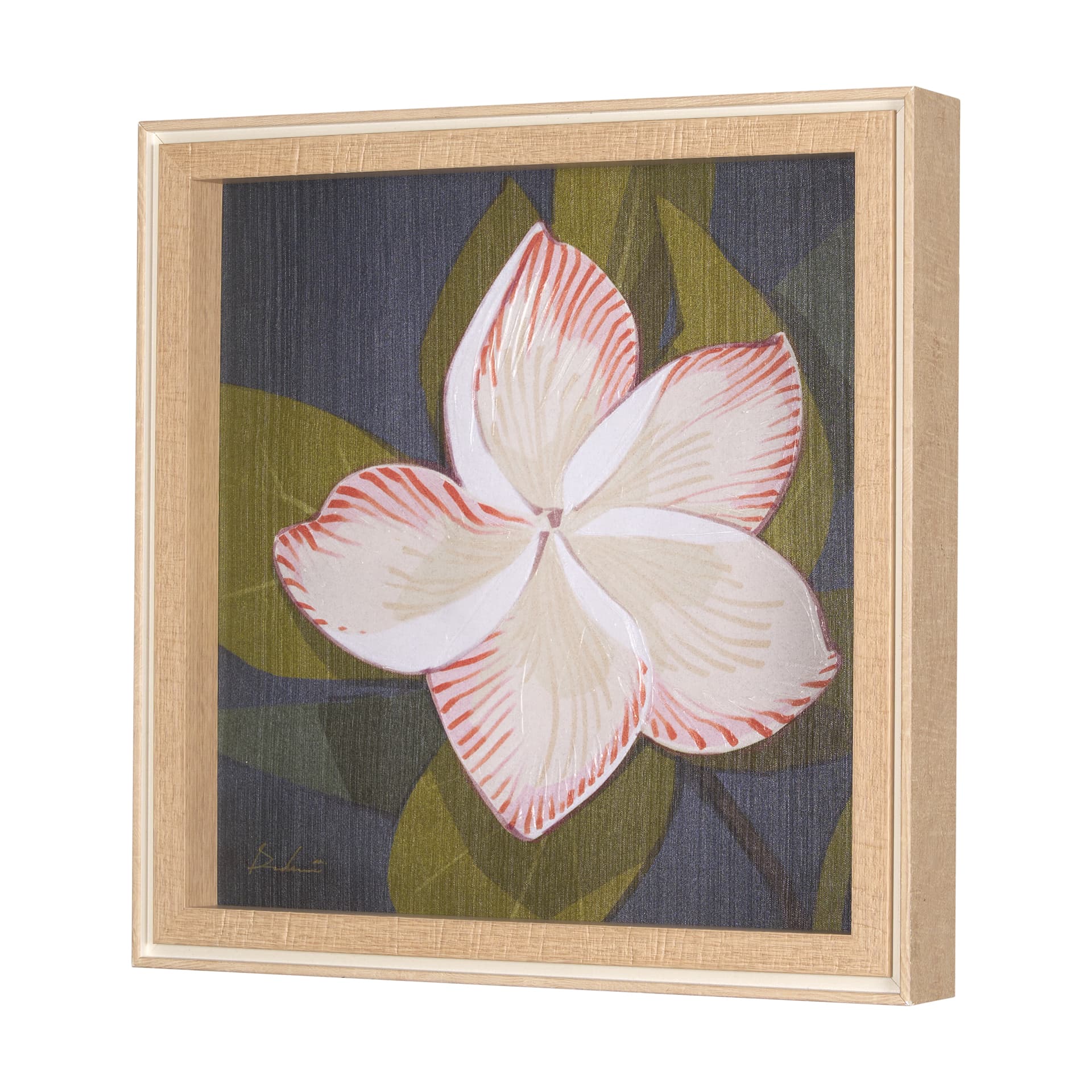 Flower Portrait III (FRANGIPANI) by Mercana Studio a Hand Embellished Textured Framed Art Print — product photograph