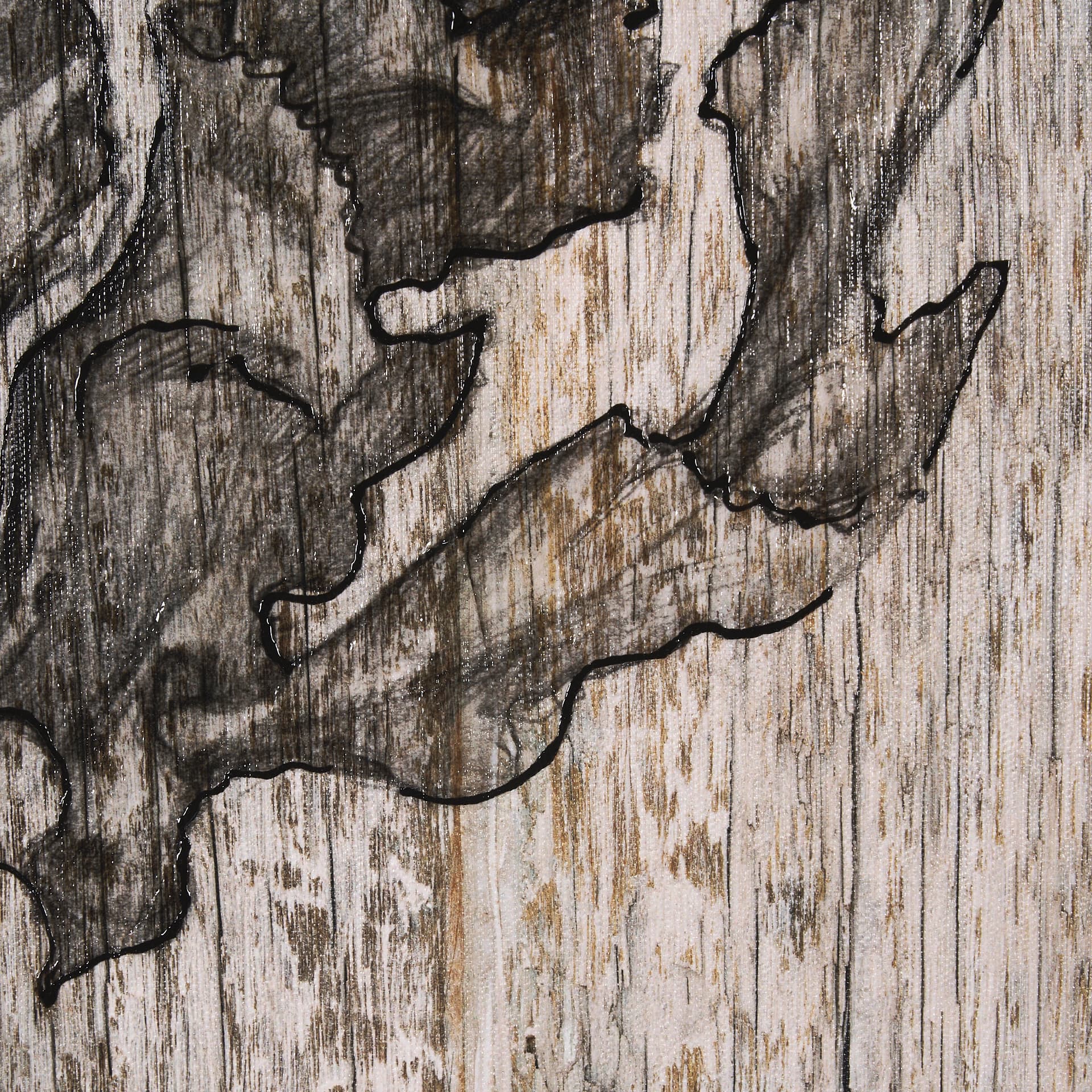 Wood Grain Sea Plant I by Mercana Studio a Hand Embellished Textured Framed Art Print — product photograph