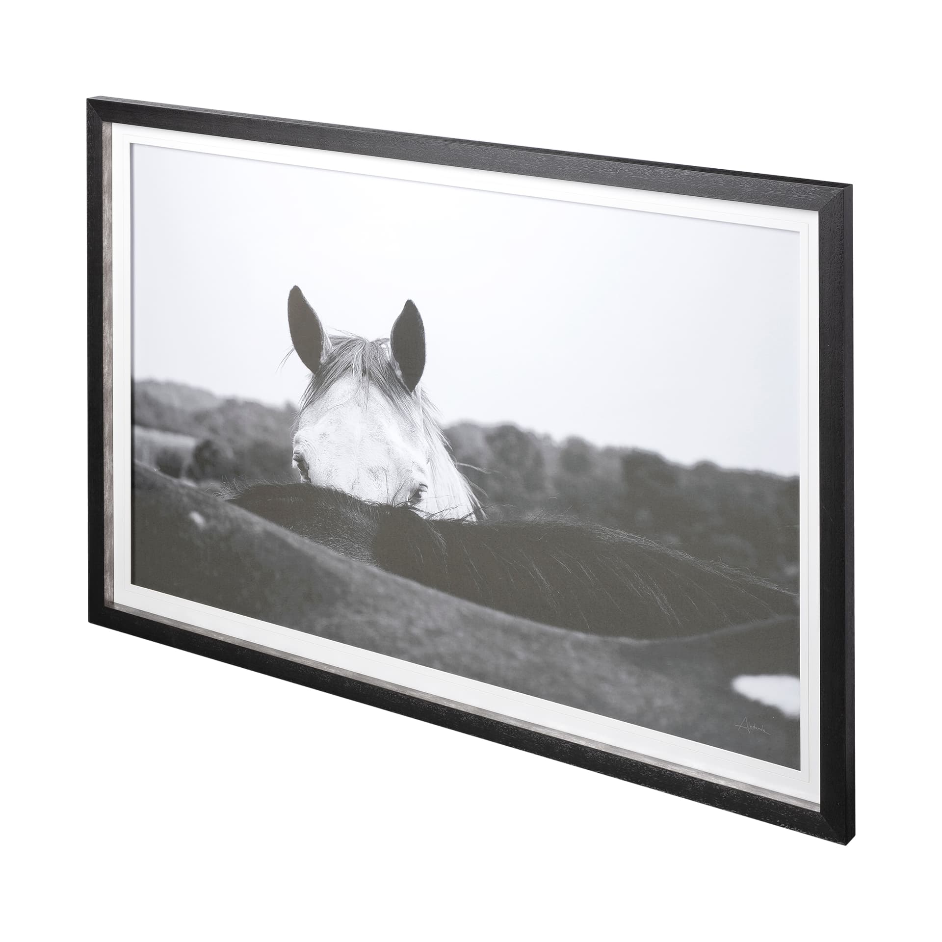 Flirt by Aledanda a Framed Photo Art Print Matted under Glass — product photograph