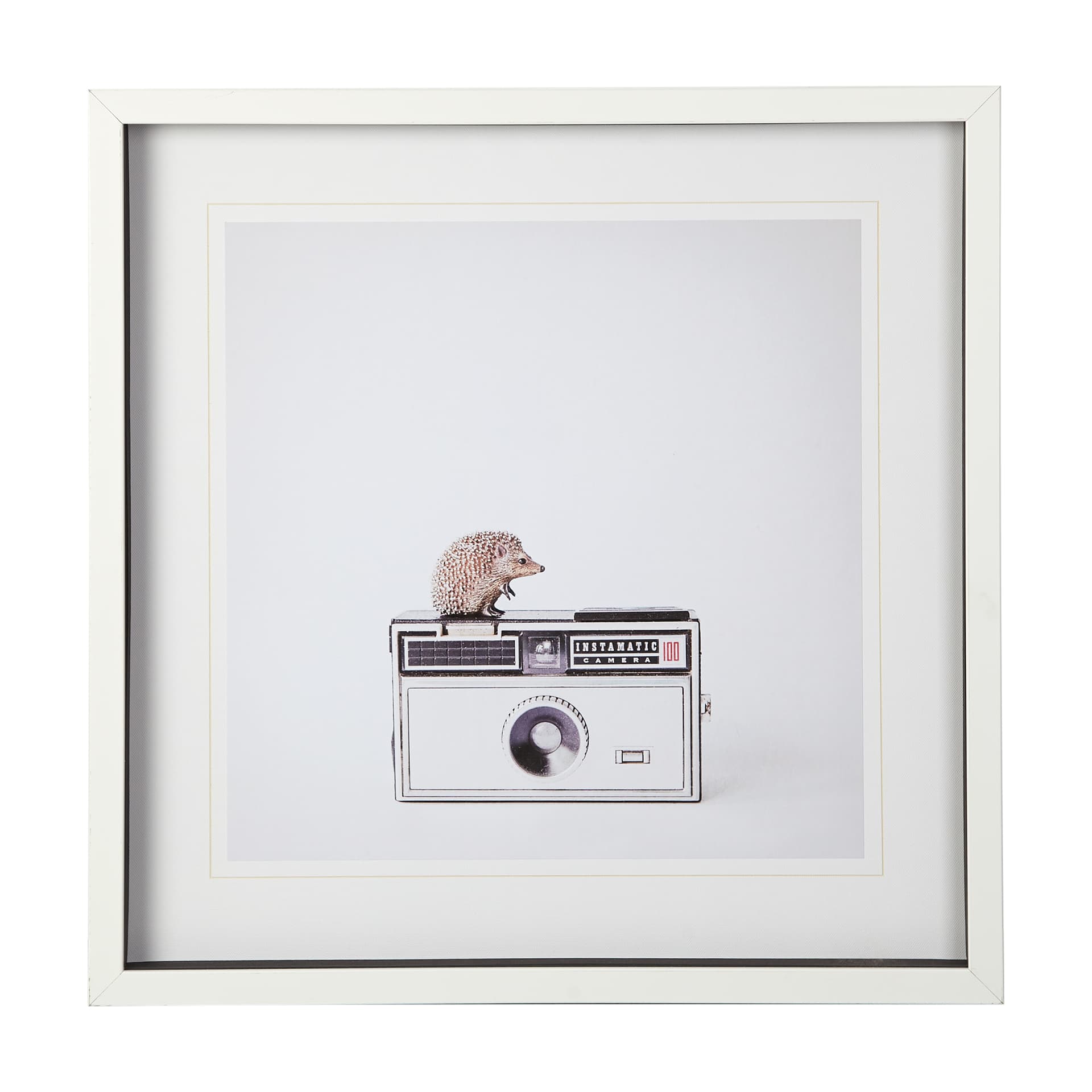 Hedgehog & Vintage Camera by Susannah Tucker Photography a Framed Photo Art Print Matted under Glass — product photograph