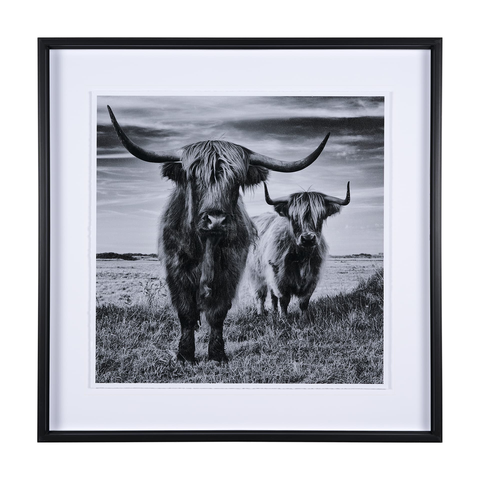 Highlands by Mercana Studio a Hand Embellished Textured Framed Photo Art Print Matted under Glass — product photograph