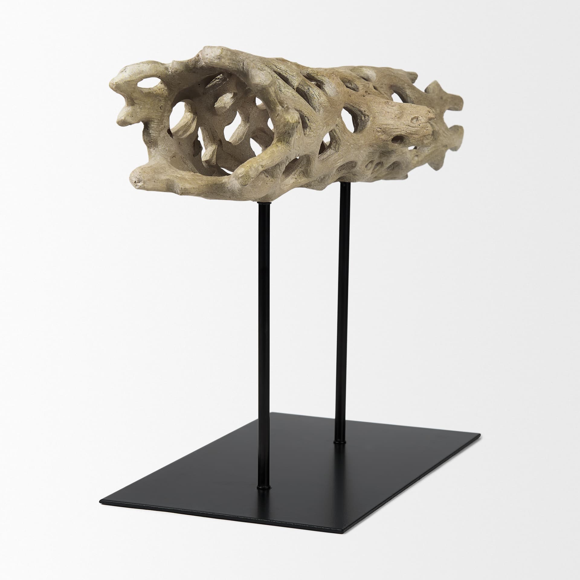 Dwell Cholla Wood Resin Decorative Object — product photograph