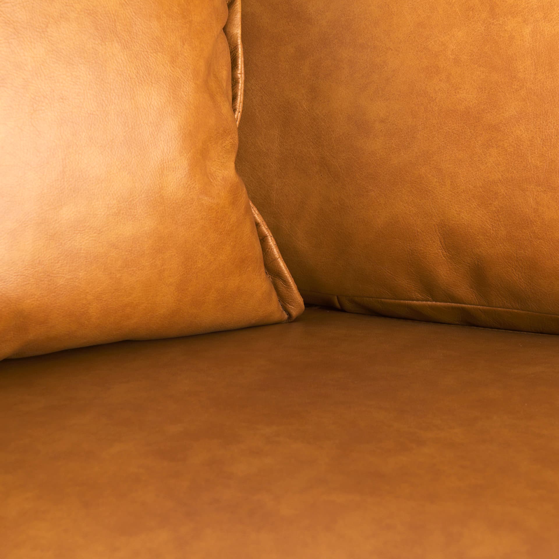 D'Arcy 65.0L x 37.0W x 34.0H Tan Leather Love Seat — product photograph