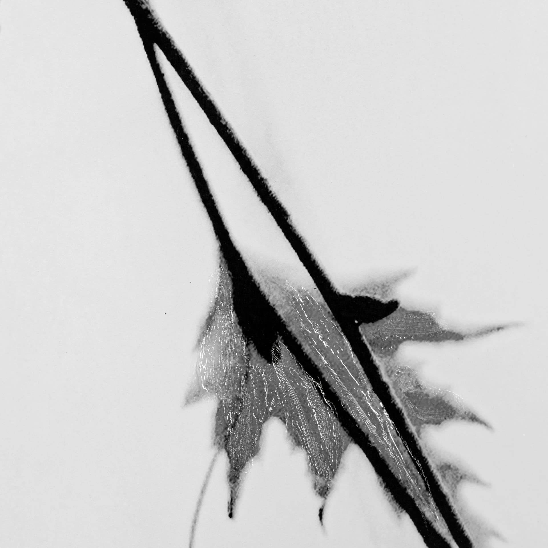 Subtle by Rebecca Cozart a Hand Embellished Textured Framed Art Print Matted under Glass — product photograph