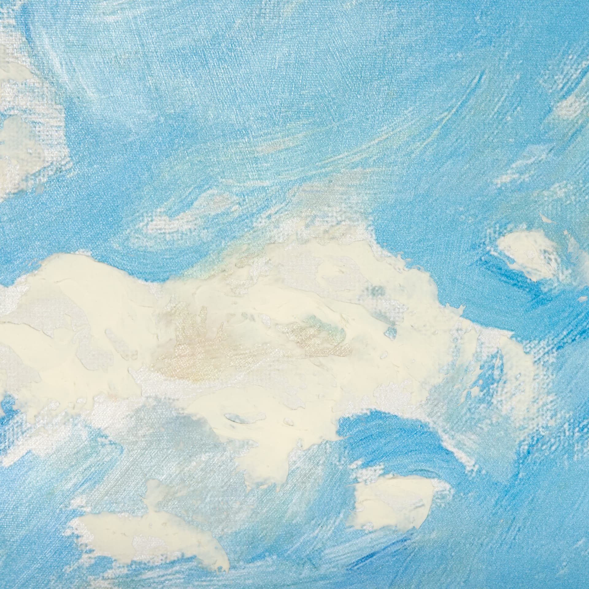 Buffalo by Mercana Studio a Hand Embellished Textured Framed Art Photograph — product photograph