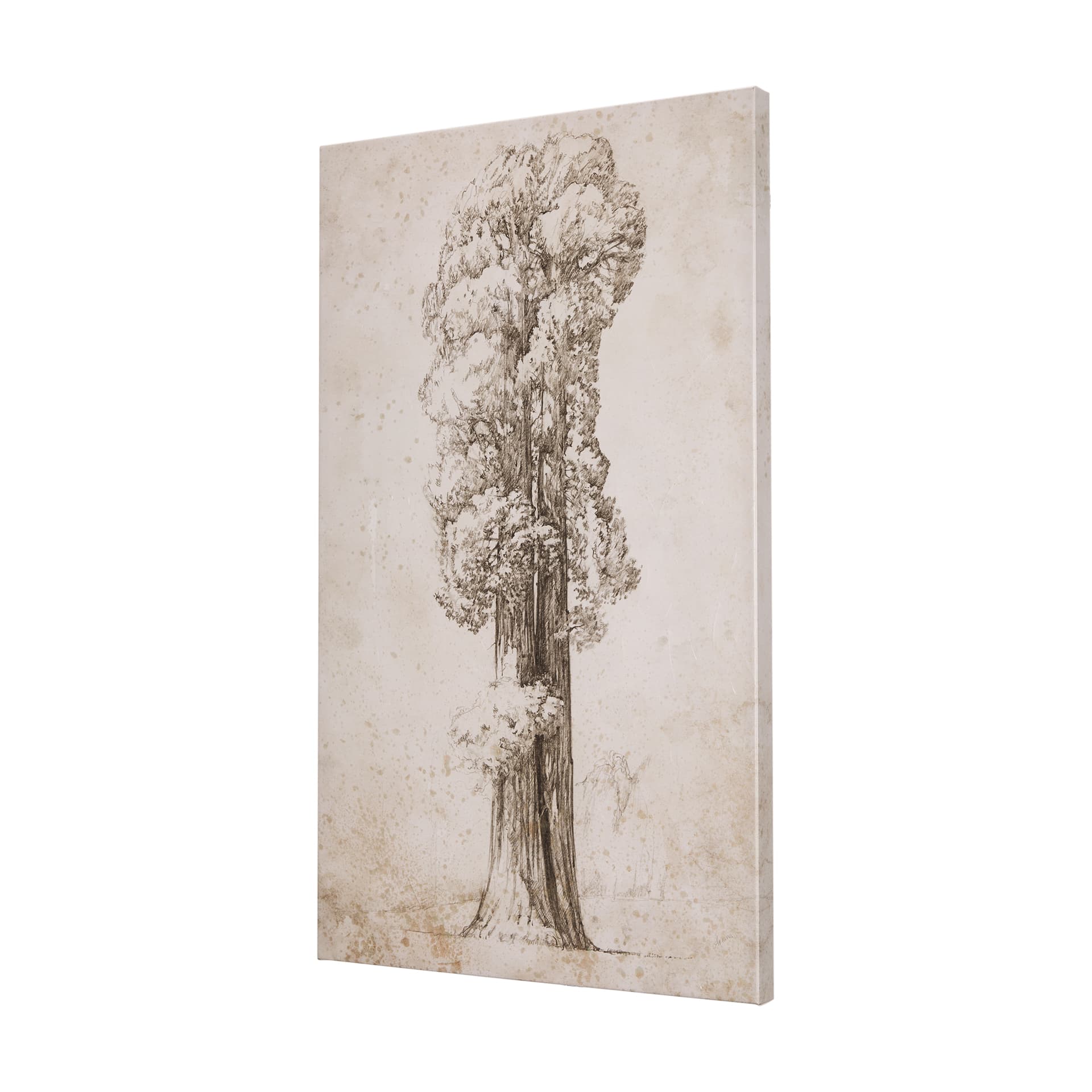 Westcoast Tree Drawing I by Mercana Studio a Hand Embellished Textured Canvas — product photograph